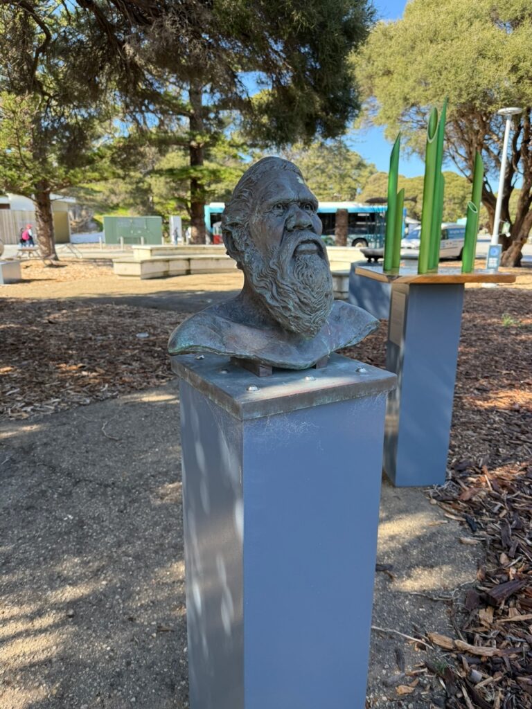 Bronze head of Noongar Boodja , sculpture outside the museum by Nicole Mickle, Safehaven Studios, 2021, cast in bronze