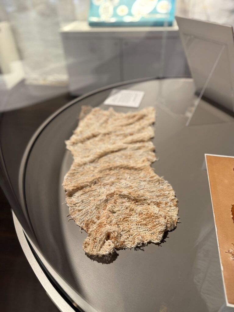 Exhibit at the museum showing a piece of cloth made from seaweed