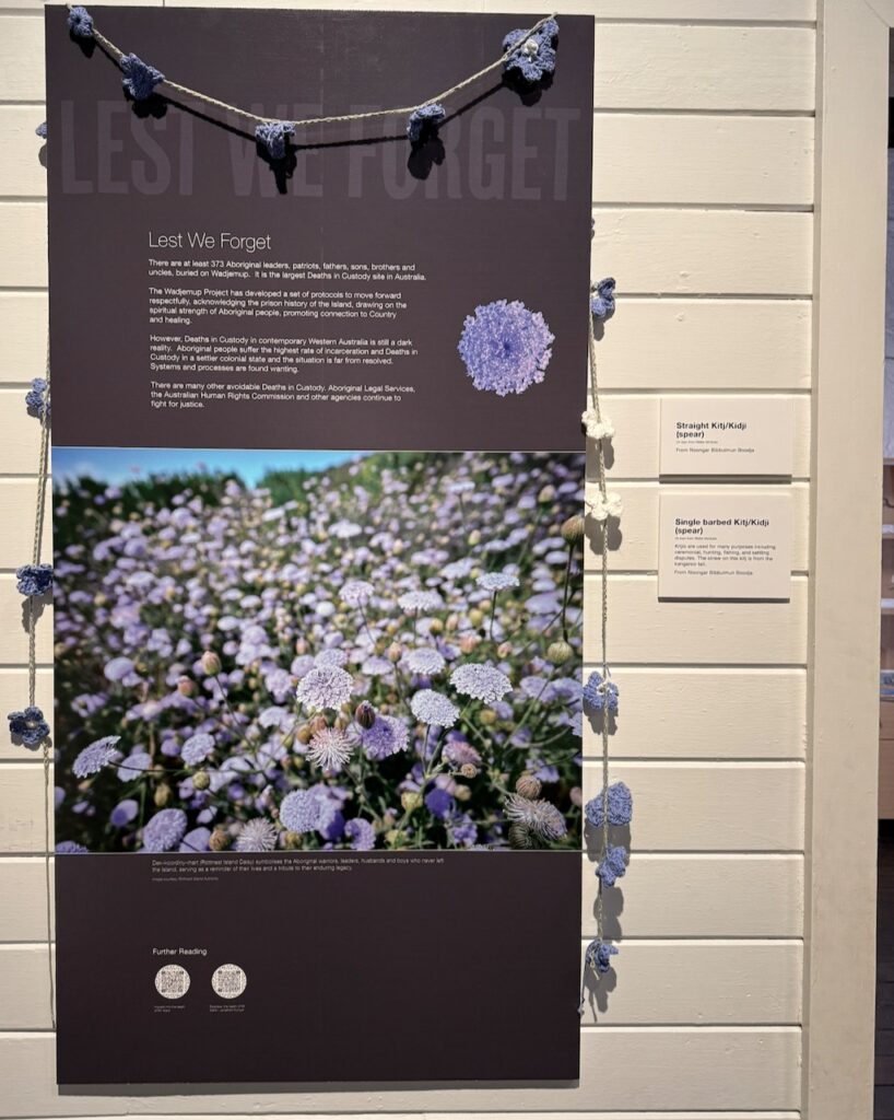 Art work poster at Wadjemup Museum, hung with crocheted lavender-coloured Rottnest Island Daisies to represent the boys and men who never left the island. Text says: " Lest We Forget There are at least 373 Aboriginal leaders, patriots, fathers, sons, brothers and uncles, buried on Wadjemup. It is the largest Deaths in Custody site in Australia. The Wadjemup Project has developed a set of protocols to move forward respectfully, acknowledging the prison history of the Island, drawing on the spiritual strength of Aboriginal people, promoting connection to Country and healing. However, Deaths in Custody in contemporary Western Australia is still a dark reality. Aboriginal people suffer the highest rate of incarceration and Deaths in Custody in a settler colonial state and the situation is far from resolved. Systems and processes are found wanting. There are many other avoidable Deaths in Custody. Aboriginal Legal Services, the Australian Human Rights Commission and other agencies continue to fight for justice"