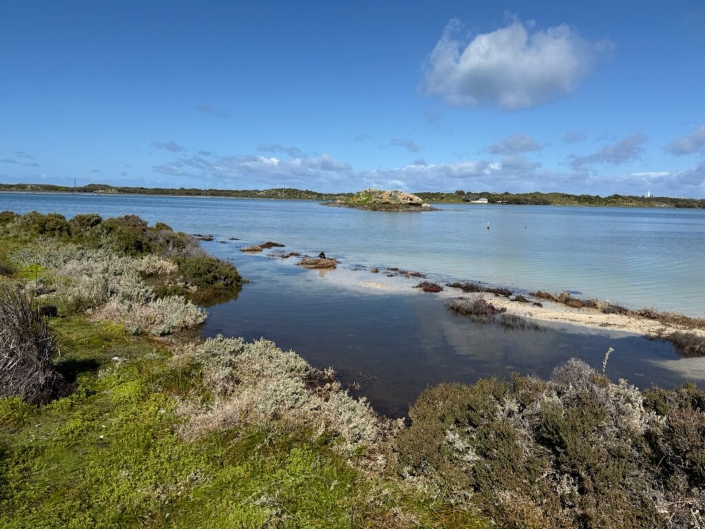 View across a large salt lake and vegetation in the foreground