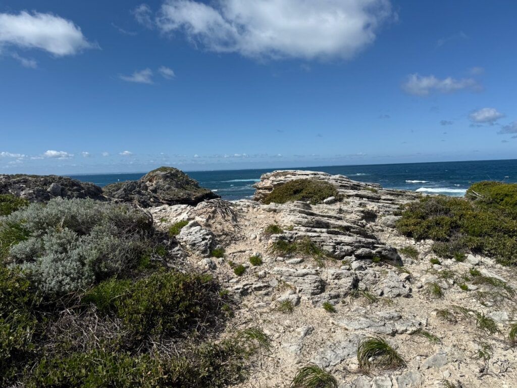 Eroded limestone headland and low shrubs in foreground, deep blue ocean in background, blue sky with some clouds on the horizon above