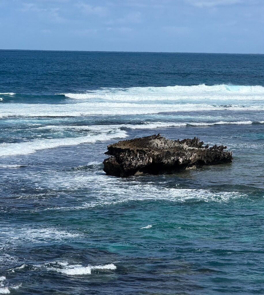 Eroded jagged limestone outcrop and waves in ocean below blue sky. Dark coral is visible in the foreground under the water