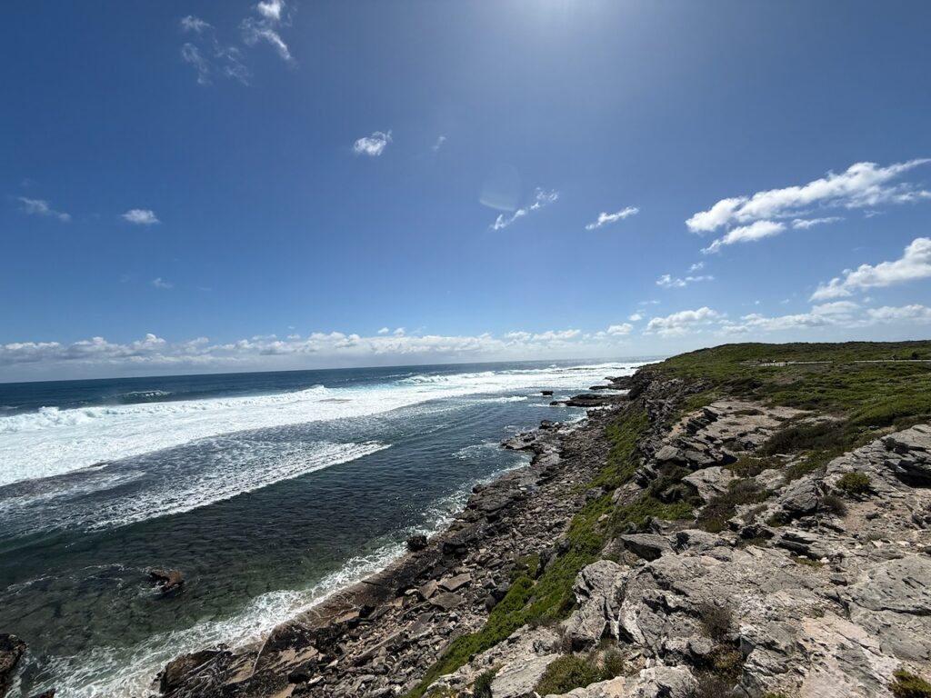 Waves on ocean under blue sky with clouds, rocky foreshore. In the shalllows, the patterns made in the algae growing on coral by buffalo bream are visible. According to scientists Berry and Playford (1992) the brown algae or sargassum seaweed which forms these outlines is in effect a hedge maintained by the buffalo bream, Kyphosus cornelii. Individual fish of both sexes defend contiguous, polygonal territories that cover large areas of shallow limestone shoreline platforms.