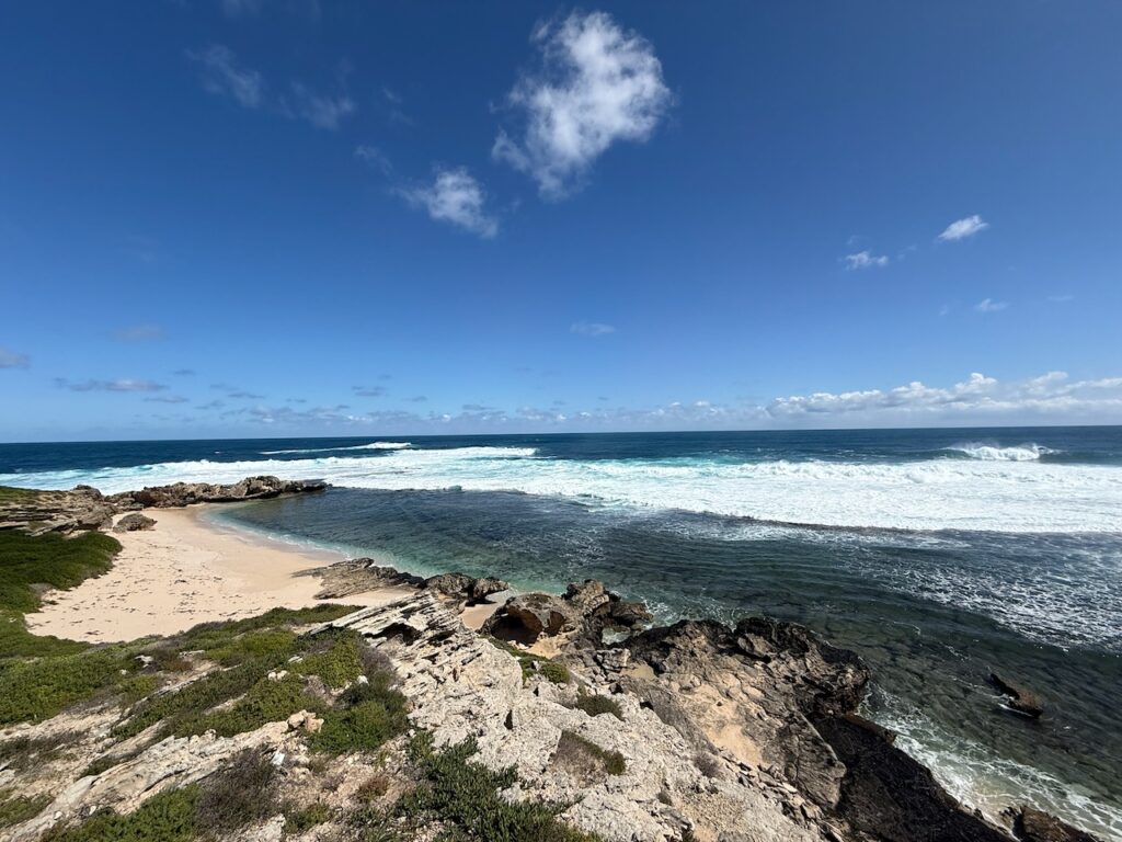 Limestone rock and sand, deep blue ocean and waves, coral visible under the water close to the beach. The patterns made in the algae growing on coral by buffalo bream are visible. According to scientists Berry and Playford (1992) the brown algae or sargassum seaweed which forms these outlines is in effect a hedge maintained by the buffalo bream, Kyphosus cornelii. Individual fish of both sexes defend contiguous, polygonal territories that cover large areas of shallow limestone shoreline platforms.