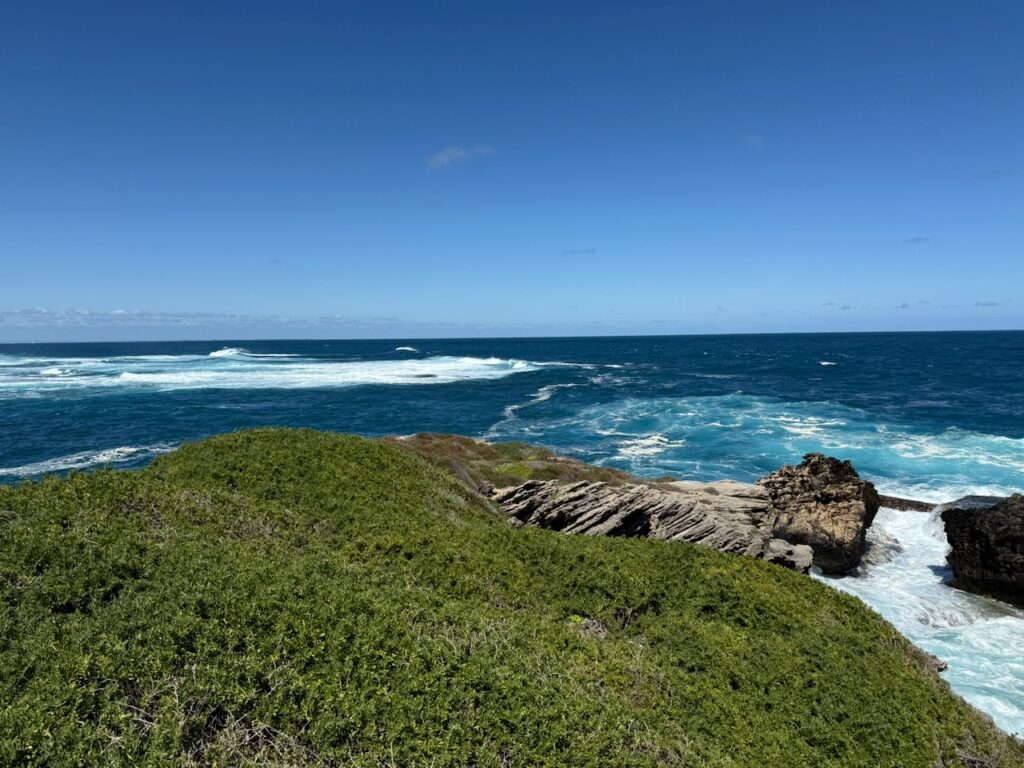 View of a turbulent blue Indian ocean, weathered limestone and foreshore vegetation under a blue sky at the western tip of the island