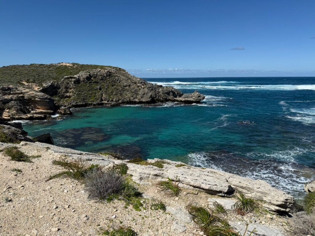 Vegetation covered limestone headland forming a small cove with a rocky beach. Coral is visible under the clear green water. Waves break further out on a reef past the headland.