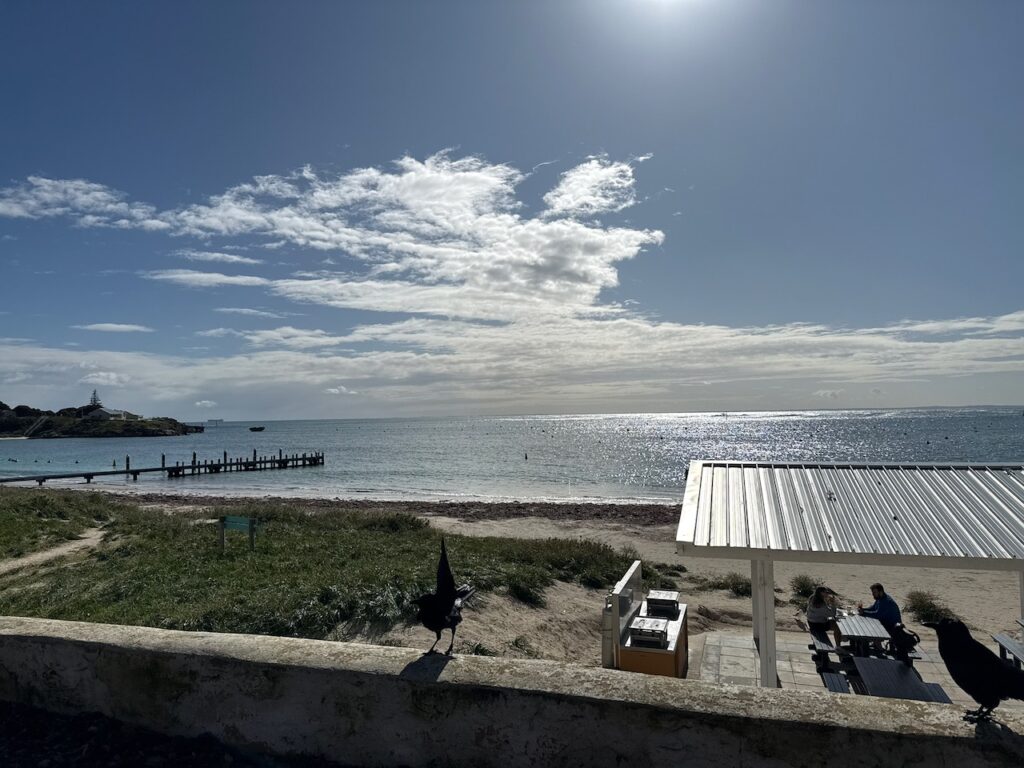 Thomson Bay from a vantage point above the beach looking left to Bathurst Point. The location of the main port for the island. Mooring for small vessels protrudes into the ocean on the left, and a picnic shelter is on the right. Beyond that shelter on the right, out of frame, is the large ferry jetty. Two crows are visible on a concrete barrier in the foreground. Dark clouds are visible on the horizon, but going away from the island towards the mainland.
