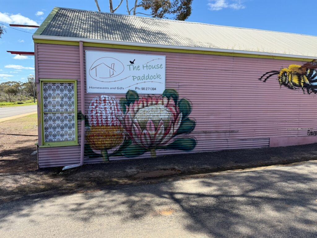 Large scale painting of a bee, a banksia, and a Waratah on the pink wall of "The House Paddock", a homewares store next to the toilets