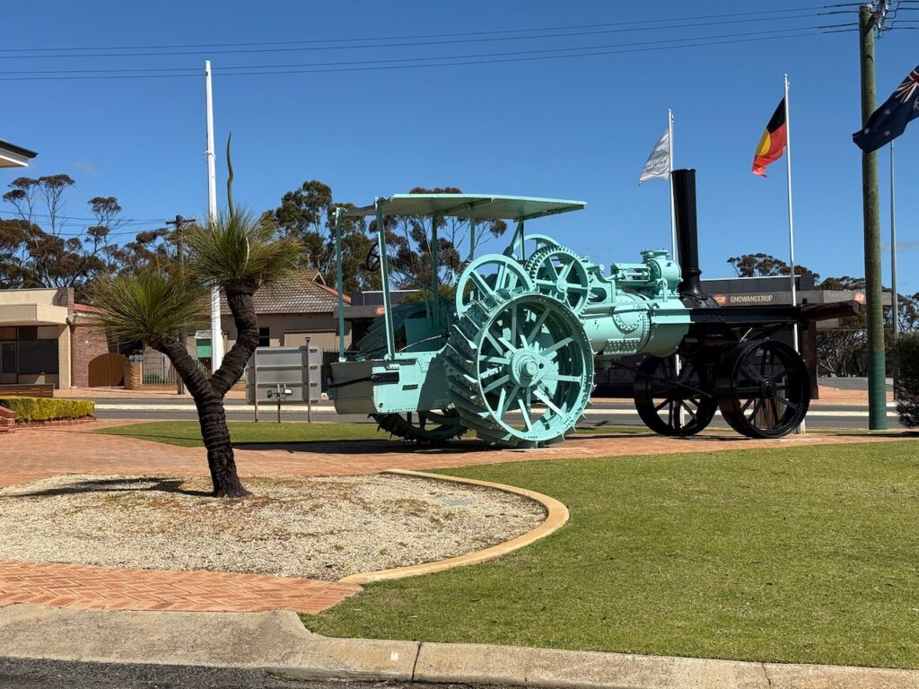 Large steam driven traction engine painted pale aqua and black, near a two-trunked grass tree. Both are in front of the shire council offices, to the left of the photo, out of frame