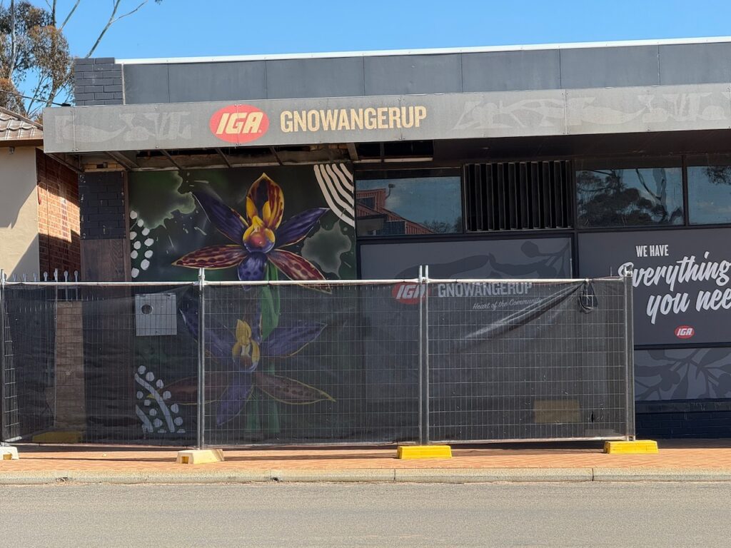 A beautiful flower mural on the side of an IGA store, unfortunately partly obscured by a wire fence