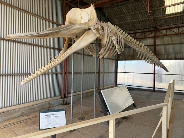 Historic Whaling Station