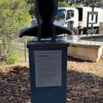 Reverse of Bronze head of Noongar Boodja , sculpture outside the museum by Nicole Mickle, Safehaven Studios, 2021, cast in bronze Information label reads: " Noongar Boodja Nicole Mickle, Safehaven Studios, 2021, cast in bronze Gift of The Copland Foundation Not one man... but all Noongar men. Graceful and proud he stands here as a reminder we live and walk on Noongar country and pay deep respect to the oldest living culture on the planet. Historical photographs dating from the 1870s to the early 1900s, coupled with contemporary images of Noongar men today, guided the creation of this bronze. This figure is an adaption of the original study from which evolved a striking 5-metre high contemporary artwork, Wardandi Boodja, at Koombana Bay, Bunbury. The Noongar nation is vast, with 14 language groups in all"