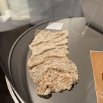 Exhibit at the museum showing a piece of cloth made from seaweed