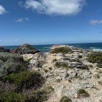 Eroded limestone headland and low shrubs in foreground, deep blue ocean in background, blue sky with some clouds on the horizon above