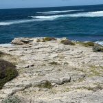 Layers of pale limestone next to the ocean