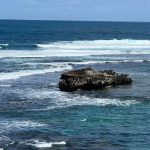 Eroded jagged limestone outcrop and waves in ocean below blue sky. Dark coral is visible in the foreground under the water