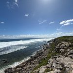 Waves on ocean under blue sky with clouds, rocky foreshore. In the shalllows, the patterns made in the algae growing on coral by buffalo bream are visible. According to scientists Berry and Playford (1992) the brown algae or sargassum seaweed which forms these outlines is in effect a hedge maintained by the buffalo bream, Kyphosus cornelii. Individual fish of both sexes defend contiguous, polygonal territories that cover large areas of shallow limestone shoreline platforms.