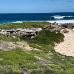 Vegetation covered limestone and sandy beach next to a blue ocean