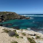 Vegetation covered limestone headland forming a small cove with a rocky beach. Coral is visible under the clear green water. Waves break further out on a reef past the headland.