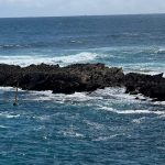 Jagged limestone rocks in the ocean, surrounded by waves, on which there are many fur seals, though they are almost impossible to see at this scale