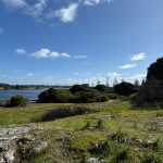 View across from the Settlement of Garden Lake, a permanent salt lake just behind the town, with the natural limestone visible in the foreground