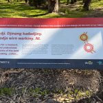 Red white and green sign showing Indigenous art and information about the Indigenous burial ground at the Settlement. It reads: "WADJEMUP ABORIGINAL BURIAL GROUND • PLEASE RESPECT THIS SACRED SITE AND REMAIN ON THE PATH AT ALL TIMES Ni dji. Djinang kadadjiny. Boodja wirn warkiny. Ni. Listen for a moment. See and understand. The spirits of the land are speaking. Listen... Here lie the unmarked graves of over 370 Aboriginal men and boys. Their stories are forever linked to this land, yet they rest a long way from home. Between 1838 and 1931 Wadjemup was a prison for at least 3700 Aboriginal men and boys from across Western Australia. Leaders, law men, warriors, fathers, brothers and sons were forced to leave their communities and families. Those who died on Wadjemup remain here amongst the trees. Their spirits are part of the island. The Whadjuk Traditional Owners, representative Aboriginal Groups from across the state, Rottnest Island Authority, Wadjemup Aboriginal Reference Group, Rottest Foundation and other partners are working towards a culturally appropriate .. acknowledgement of this site's history. This is a journey towards reconciliation and healing for the physical and spiritual restoration of this place. The past is not buried. ROTTNEST IS The Rottnest Island Authority respect the Whadjuk Noongar people as Traditional Custodians of Wadjemup"