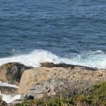 The Blowholes