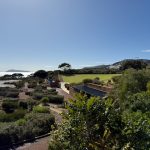 View across wildlife garden towards Frenchman's Bay View across wildlife garden towards Frenchman Bay