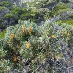 Cable Beach and Cave Point Lighthouse Cable Beach and Cave Point Lighthouse