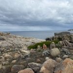 The Gap and Natural Bridge