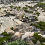 The Gap and Natural Bridge