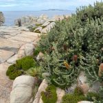 The Gap and Natural Bridge