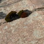 The Gap and Natural Bridge