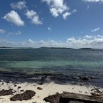 Frenchman Bay Beach Frenchman Bay Beach