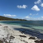 Frenchman Bay Beach Frenchman Bay Beach