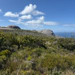 Peak Head, Torndirrup NP Peak Head, Torndirrup NP