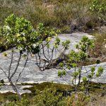 Peak Head, Torndirrup NP Peak Head, Torndirrup NP