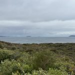 Middleton Beach and Emu Point Middleton Beach and Emu Point