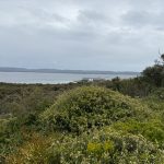 Middleton Beach and Emu Point Middleton Beach and Emu Point