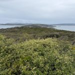 Middleton Beach and Emu Point Middleton Beach and Emu Point