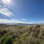 Middleton Beach and Emu Point Middleton Beach and Emu Point