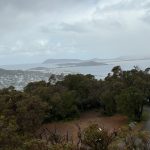 Mount Melville Lookout Tower
