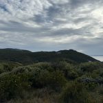 Shelley Beach West Cape Howe NP Shelley Beach West Cape Howe NP