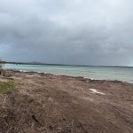 Two Peoples Bay Reserve