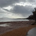 Two Peoples Bay Reserve
